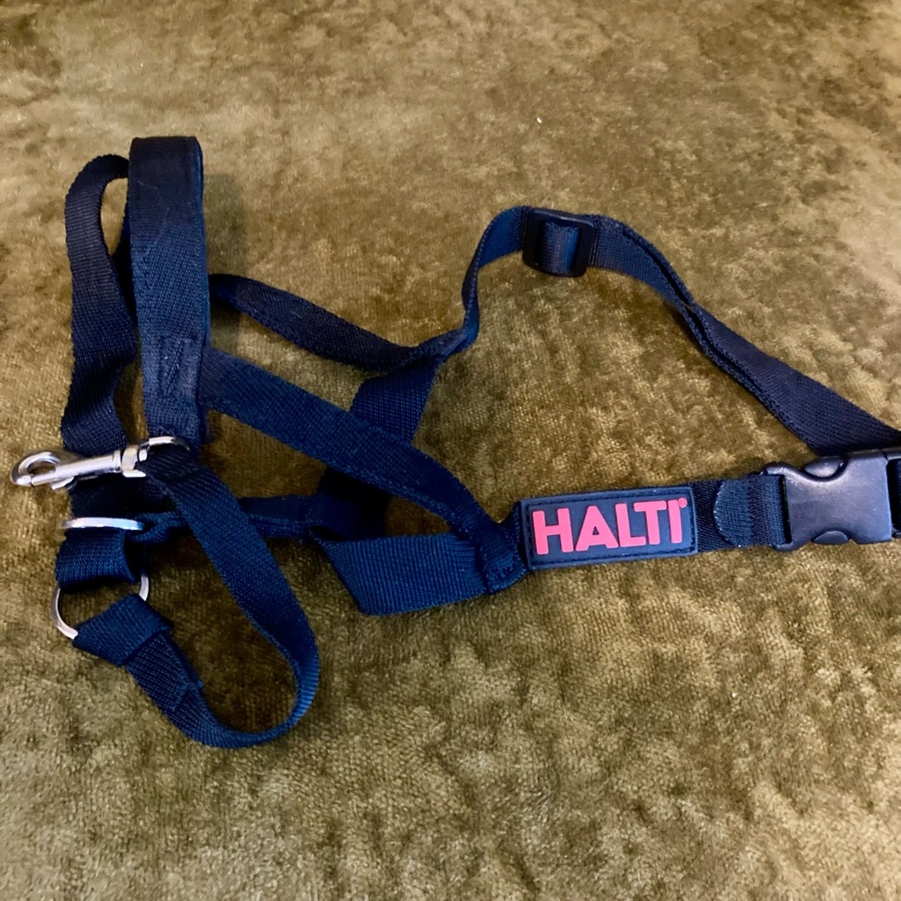Size 4 Dog Halti